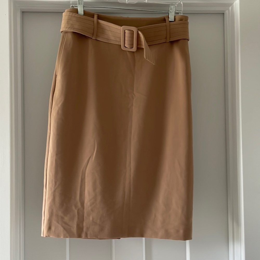 Eva Mendes never worn skirt
